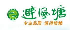 避风塘
